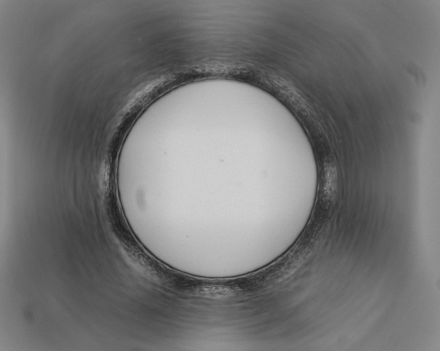 X0000113110636200909181629
