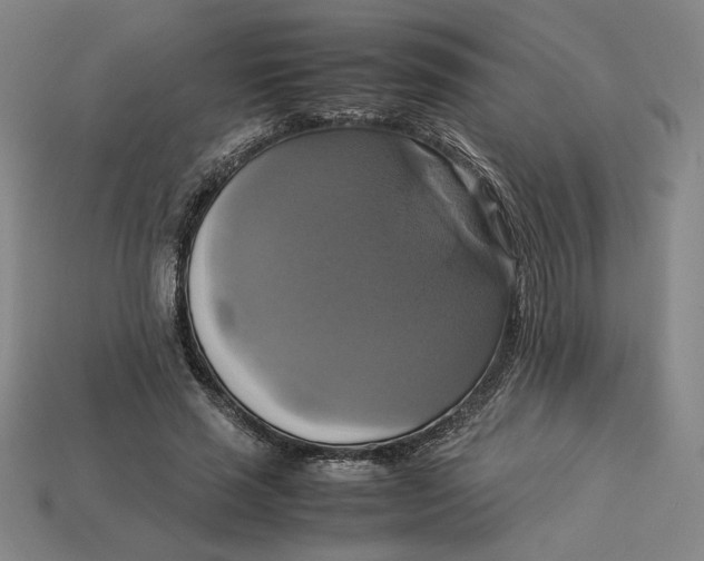 X0000113110637200909181629