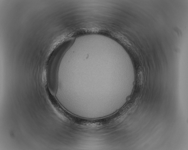 X0000113110638200909181629