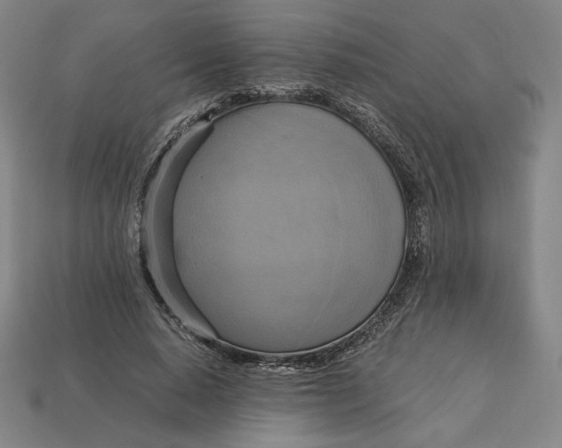 X0000113110640200909181629