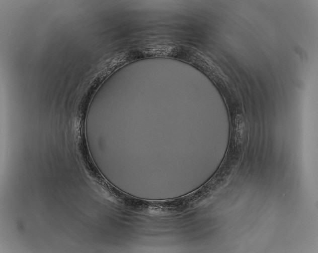 X0000113110641200909181629
