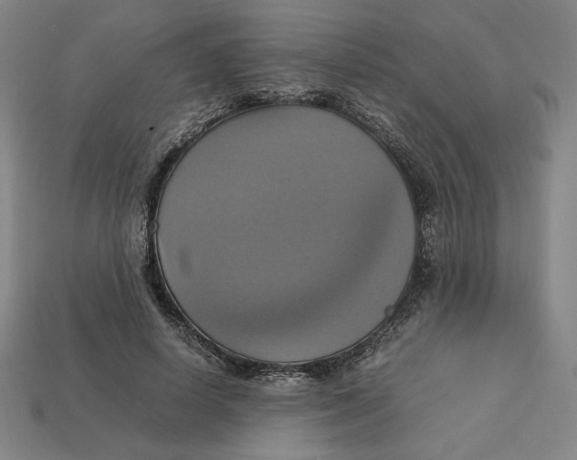 X0000113110642200909181629