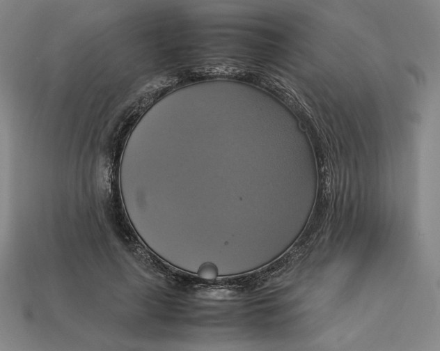 X0000113110643200909181629