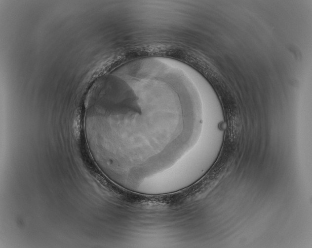 X0000113110644200909181629