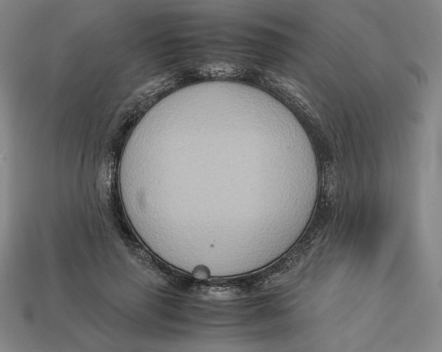X0000113110645200909181629