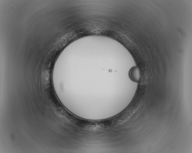 X0000113110646200909181629