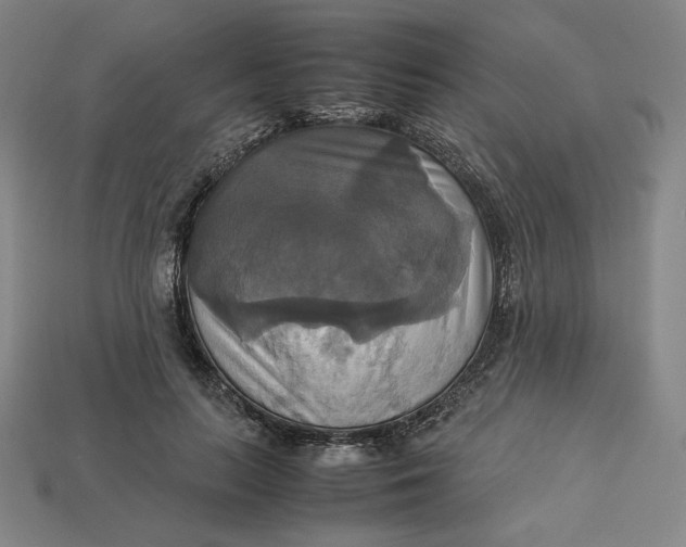 X0000113110647200909181629