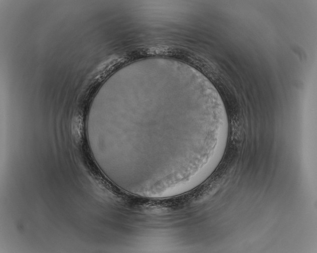 X0000113110648200909181629