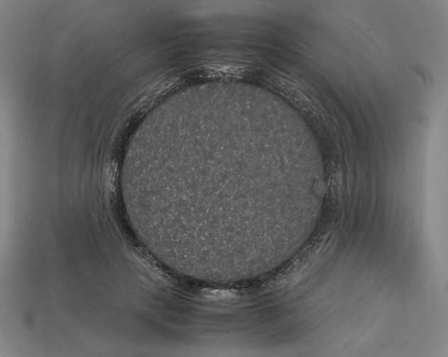 X0000113110649200909181629