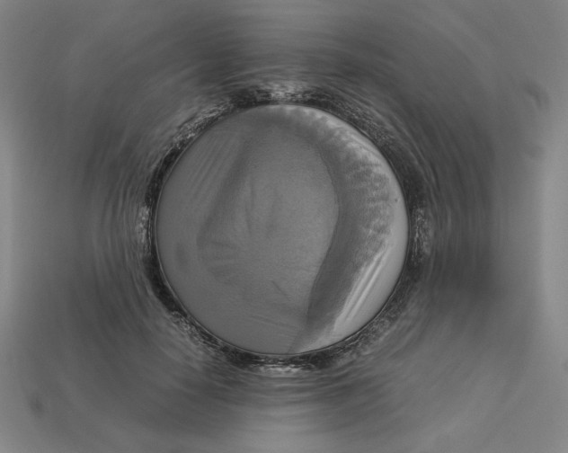 X0000113110650200909181629
