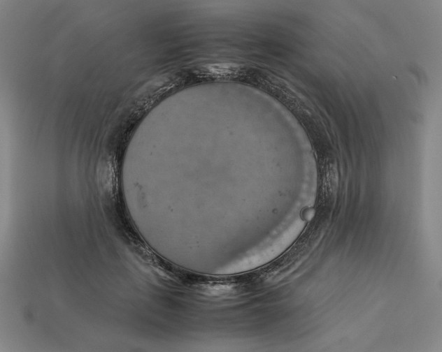 X0000113110651200909181629