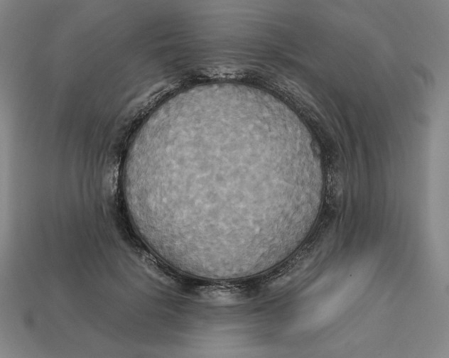 X0000113110652200909181629