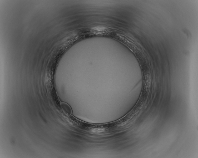 X0000113110653200909181629
