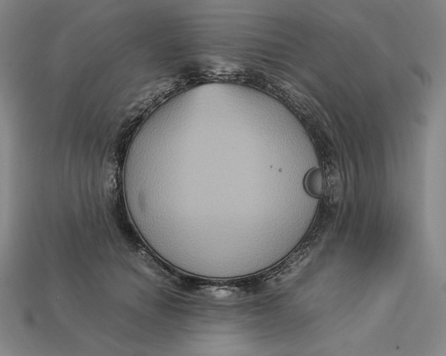 X0000113110654200909181629