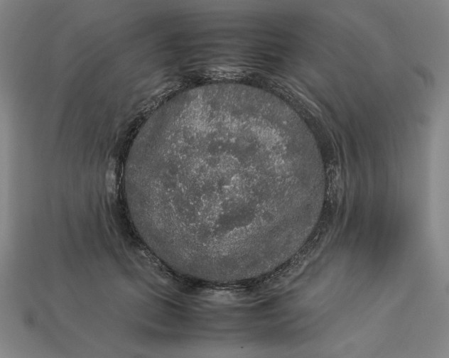 X0000113110655200909181629