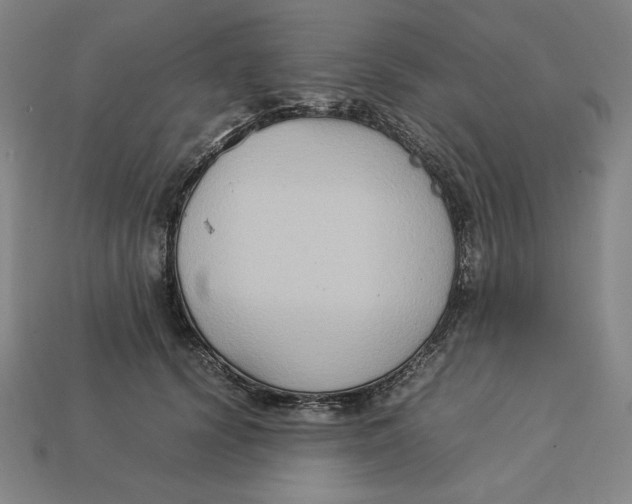 X0000113110656200909181629