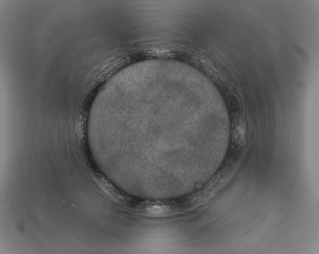X0000113110658200909181630
