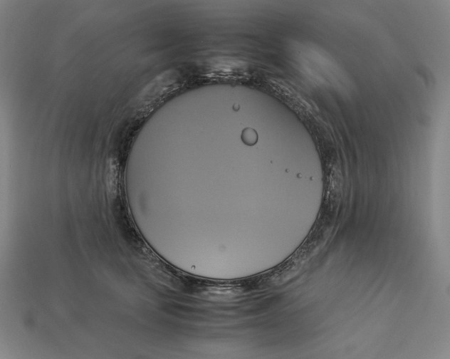 X0000113110659200909181630