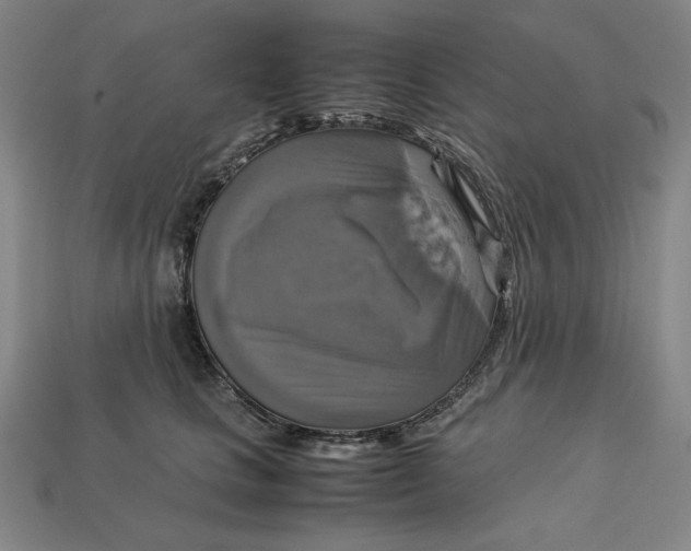 X0000113110661200909181630