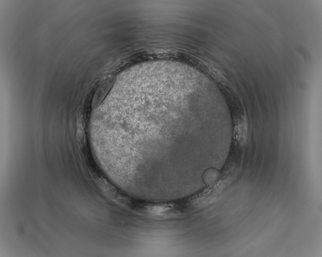 X0000113110662200909181630