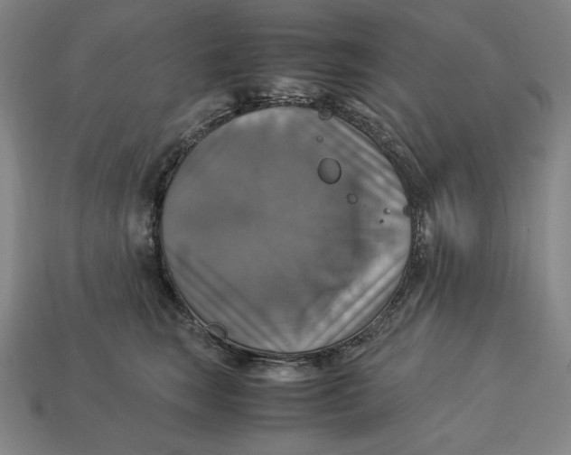 X0000113110663200909181630