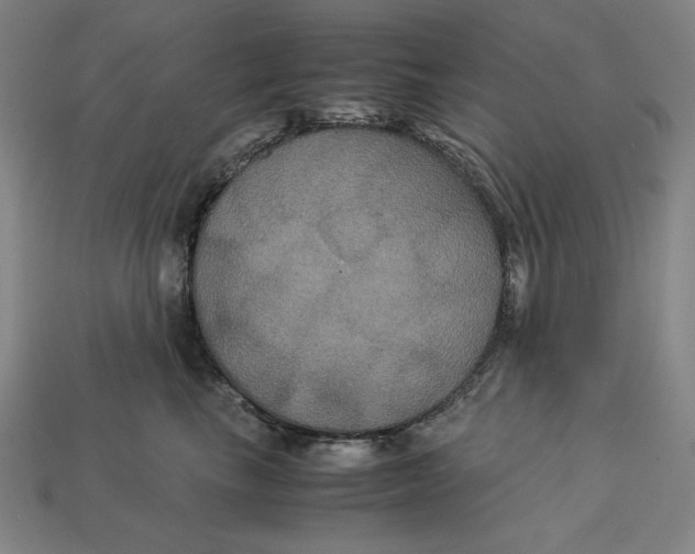 X0000113110665200909181630