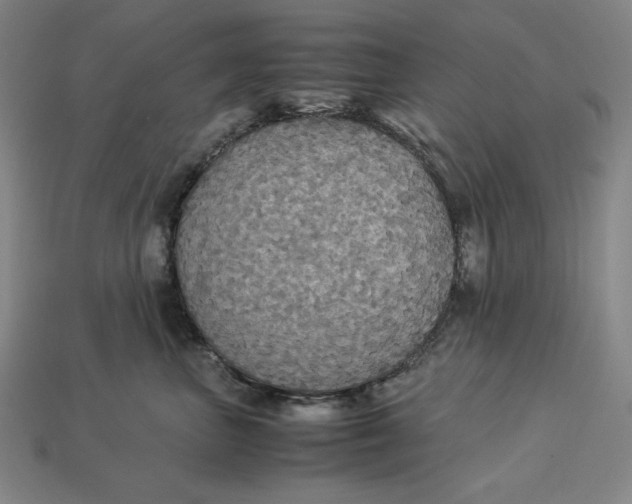 X0000113110667200909181630