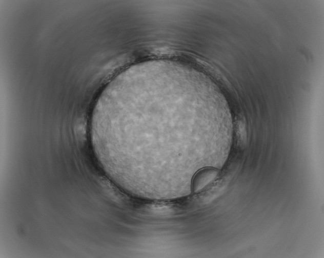 X0000113110668200909181630