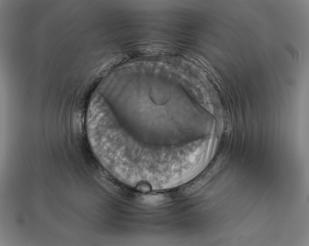 X0000113110669200909181630