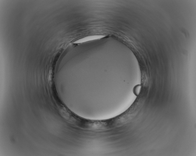 X0000113110670200909181630