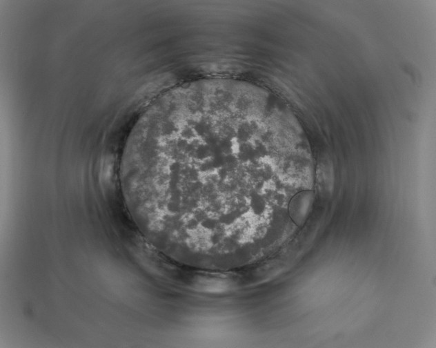 X0000113110671200909181630