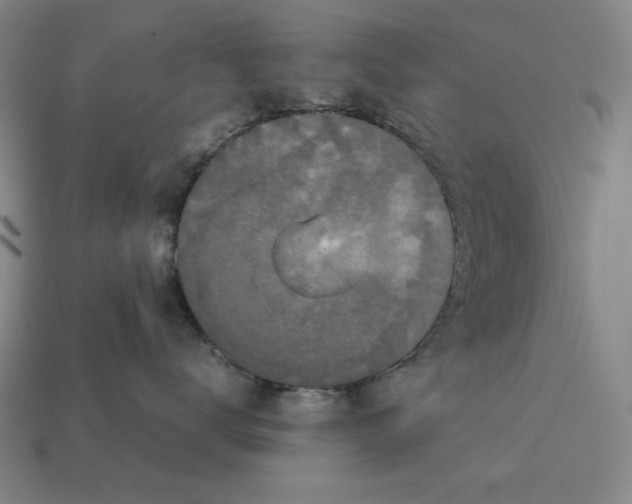 X0000113110672200909181630