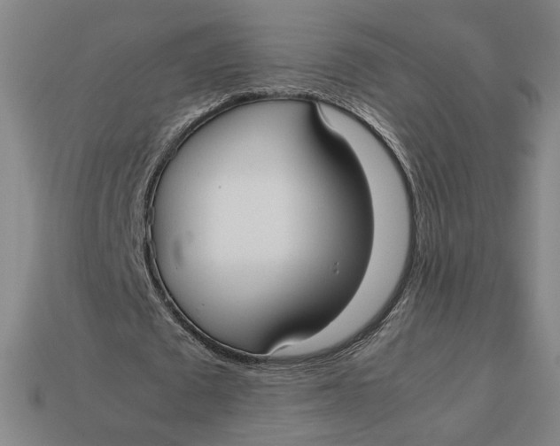 X0000113110673200909181629