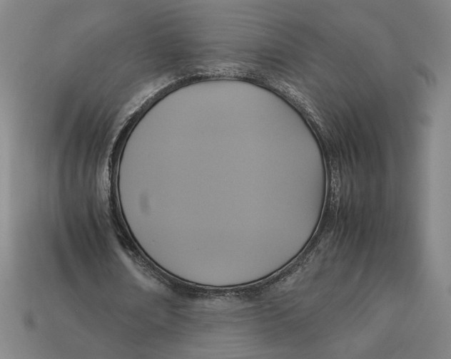 X0000113110674200909181629