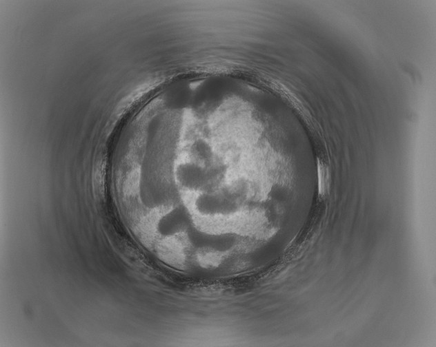 X0000113110675200909181629