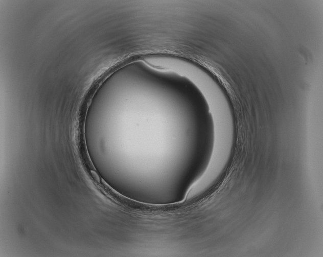X0000113110677200909181629