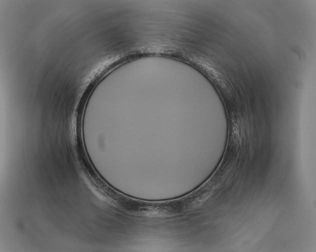 X0000113110678200909181629