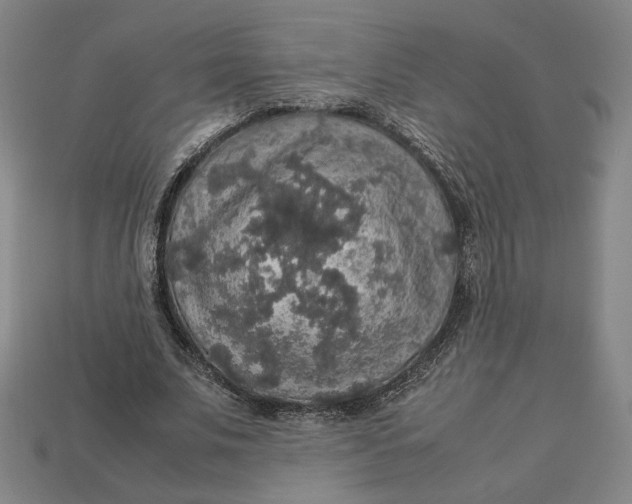 X0000113110679200909181629
