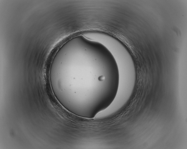 X0000113110680200909181629