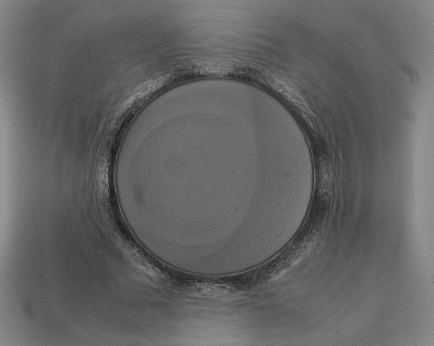 X0000113110681200909181629