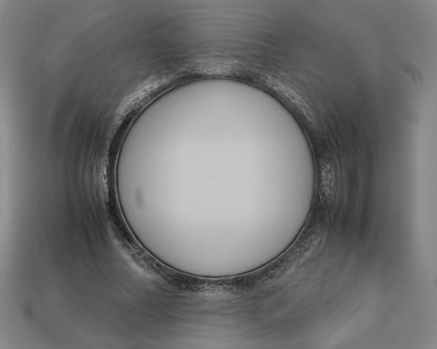 X0000113110682200909181629