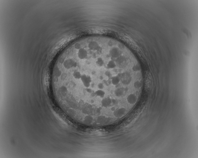 X0000113110683200909181629
