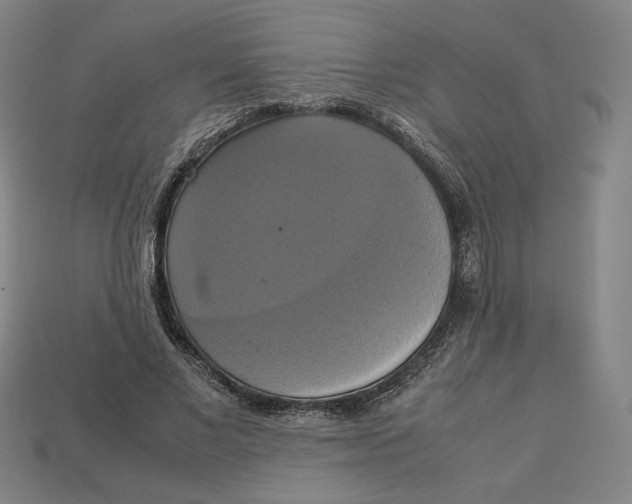 X0000113110685200909181629
