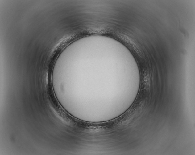 X0000113110686200909181629