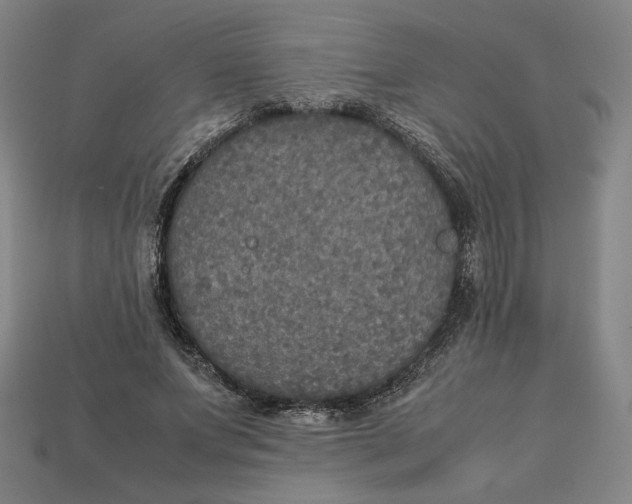 X0000113110687200909181629