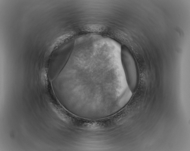 X0000113110688200909181629