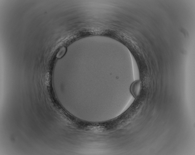 X0000113110689200909181629