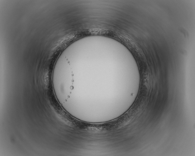 X0000113110690200909181629