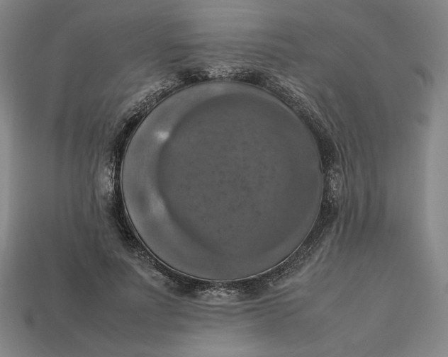 X0000113110691200909181629