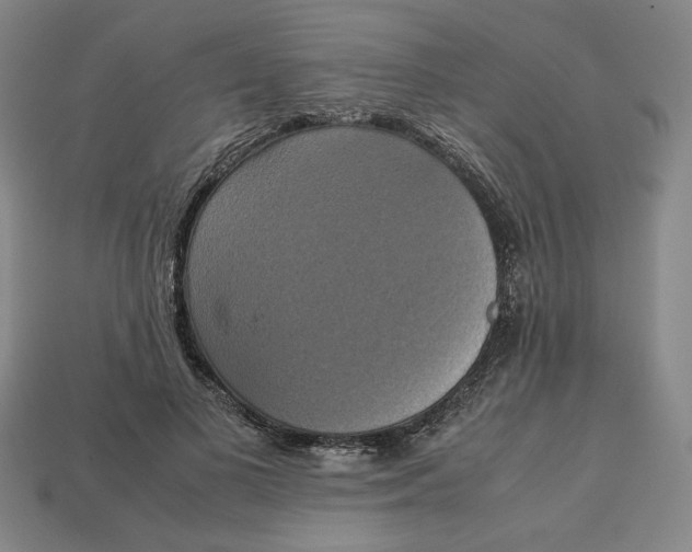 X0000113110693200909181629